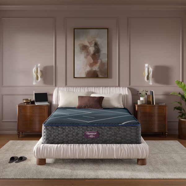 Simmons Beautyrest World Class Hybrid Level Firm Mattress