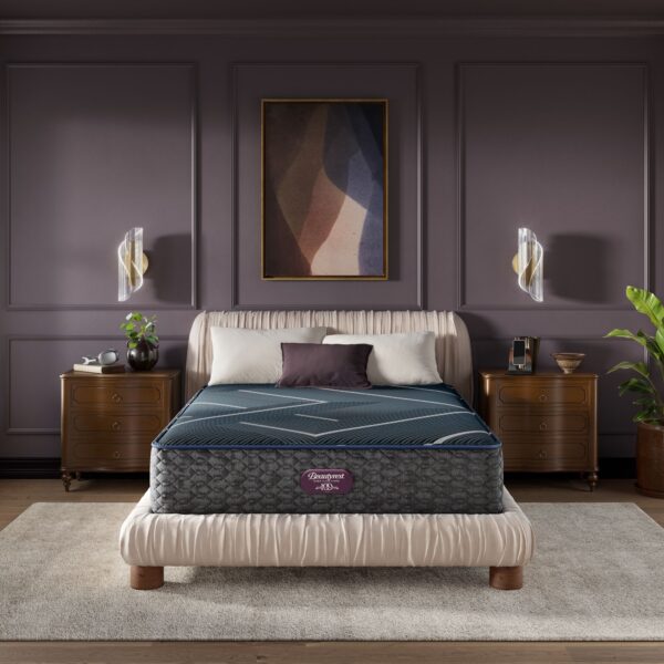Simmons Beautyrest World Class Hybrid Level Plush Mattress