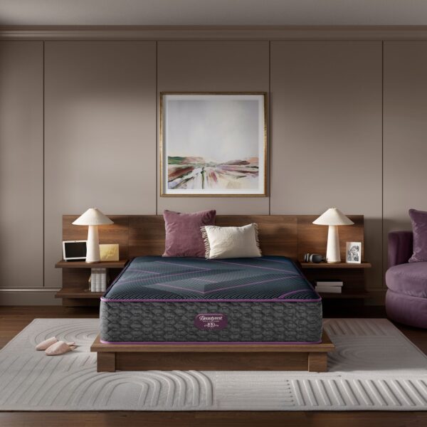 Simmons Beautyrest World Class Hybrid Level Three Plush Mattress